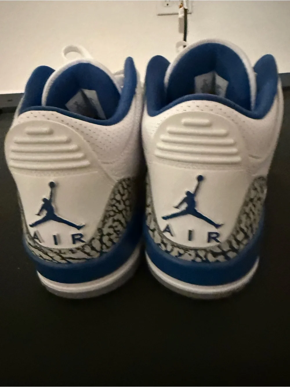 Air Jordan 3 Wizards